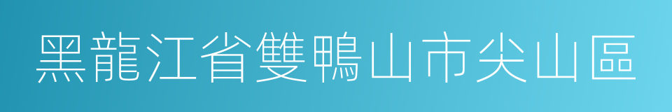 黑龍江省雙鴨山市尖山區的同義詞