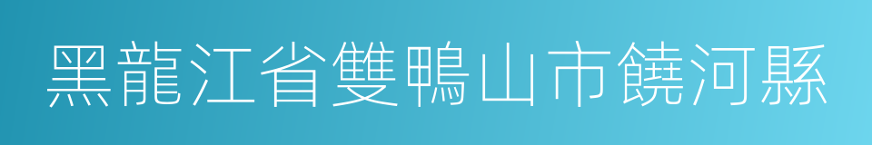 黑龍江省雙鴨山市饒河縣的同義詞