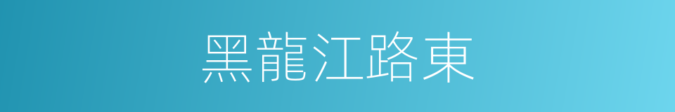 黑龍江路東的同義詞
