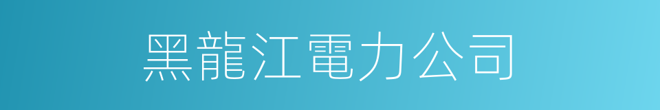 黑龍江電力公司的同義詞