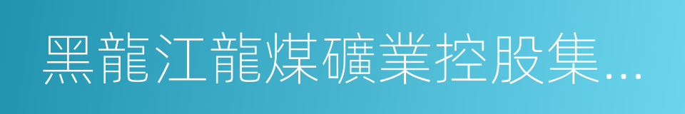 黑龍江龍煤礦業控股集團有限責任公司的同義詞