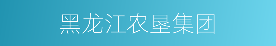 黑龙江农垦集团的同义词