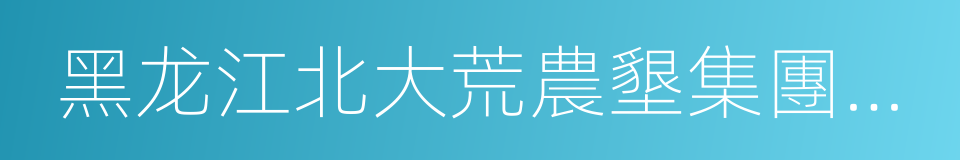 黑龙江北大荒農墾集團總公司的同義詞