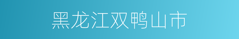 黑龙江双鸭山市的同义词