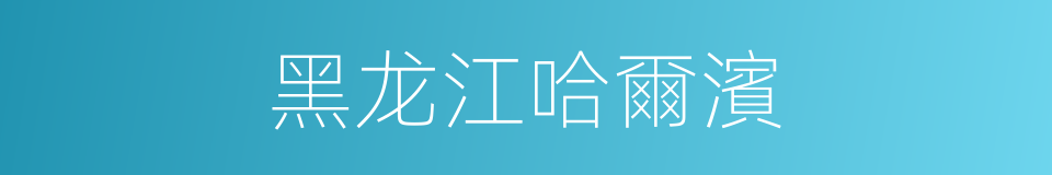 黑龙江哈爾濱的同義詞