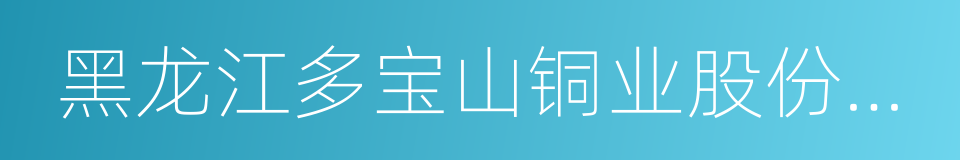 黑龙江多宝山铜业股份有限公司的同义词