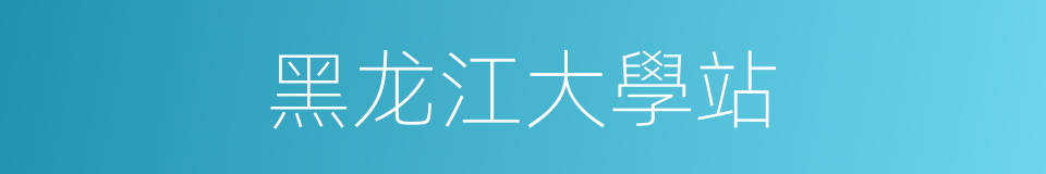 黑龙江大學站的同義詞