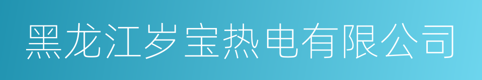 黑龙江岁宝热电有限公司的同义词