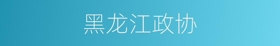 黑龙江政协的同义词