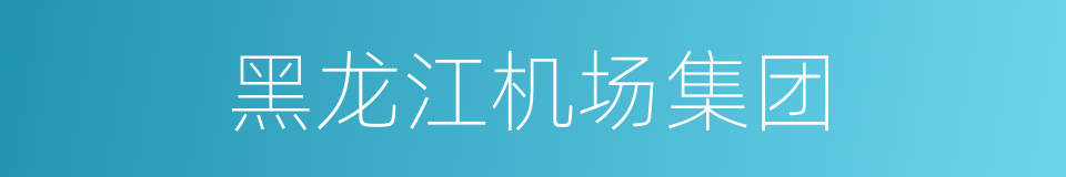 黑龙江机场集团的同义词