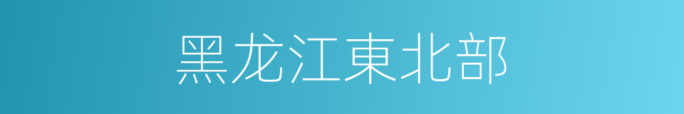 黑龙江東北部的同義詞