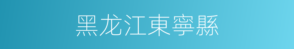 黑龙江東寧縣的同義詞