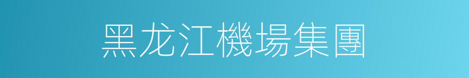 黑龙江機場集團的同義詞