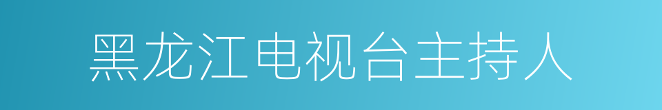 黑龙江电视台主持人的同义词