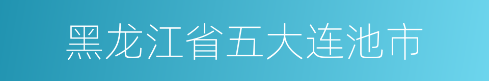 黑龙江省五大连池市的同义词