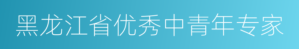 黑龙江省优秀中青年专家的同义词