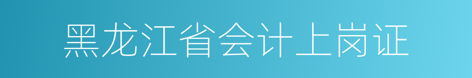 黑龙江省会计上岗证的同义词