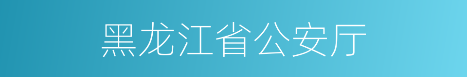 黑龙江省公安厅的同义词