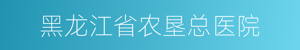 黑龙江省农垦总医院的同义词