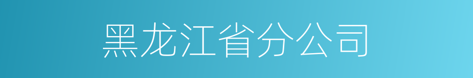 黑龙江省分公司的同义词