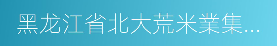 黑龙江省北大荒米業集團有限公司的同義詞