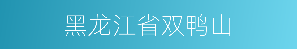 黑龙江省双鸭山的同义词