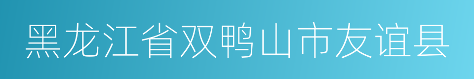 黑龙江省双鸭山市友谊县的同义词