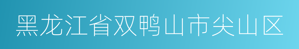 黑龙江省双鸭山市尖山区的同义词