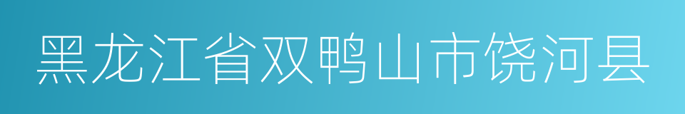 黑龙江省双鸭山市饶河县的同义词