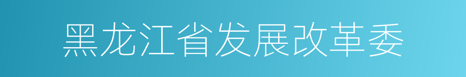 黑龙江省发展改革委的同义词