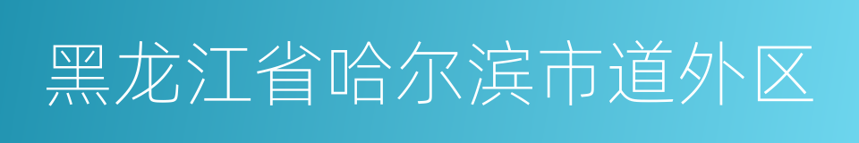 黑龙江省哈尔滨市道外区的同义词