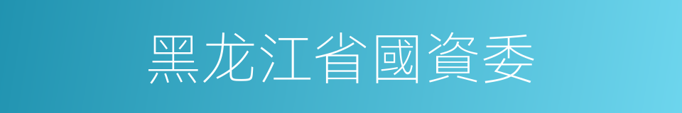 黑龙江省國資委的同義詞