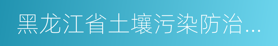 黑龙江省土壤污染防治实施方案的同义词