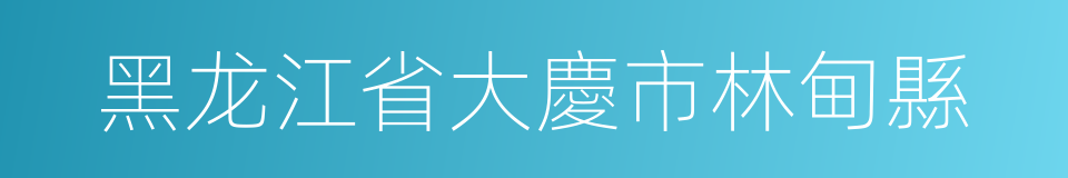 黑龙江省大慶市林甸縣的同義詞