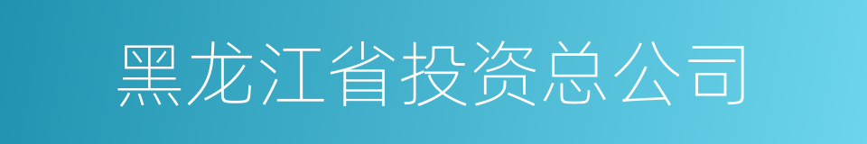 黑龙江省投资总公司的同义词