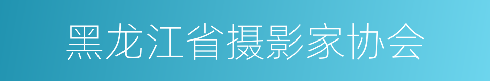 黑龙江省摄影家协会的同义词