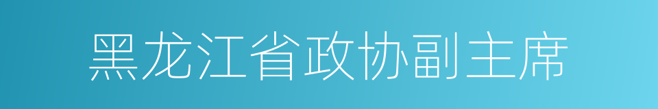 黑龙江省政协副主席的同义词