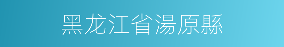 黑龙江省湯原縣的同義詞