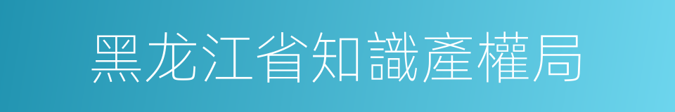 黑龙江省知識產權局的同義詞