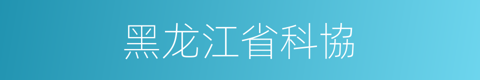 黑龙江省科協的同義詞