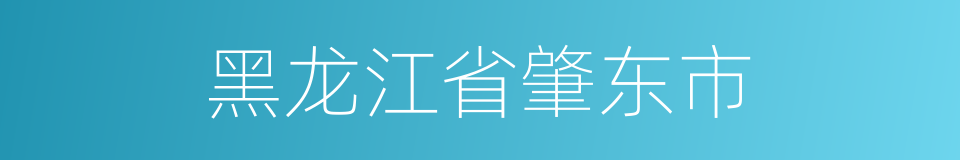 黑龙江省肇东市的同义词