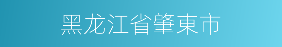黑龙江省肇東市的同義詞