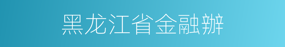 黑龙江省金融辦的同義詞