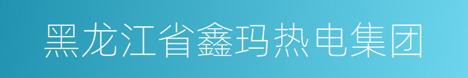 黑龙江省鑫玛热电集团的同义词