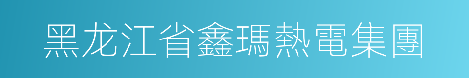 黑龙江省鑫瑪熱電集團的同義詞