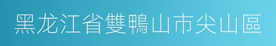 黑龙江省雙鴨山市尖山區的同義詞