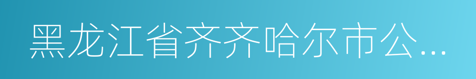 黑龙江省齐齐哈尔市公安局的同义词