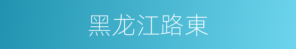 黑龙江路東的同義詞