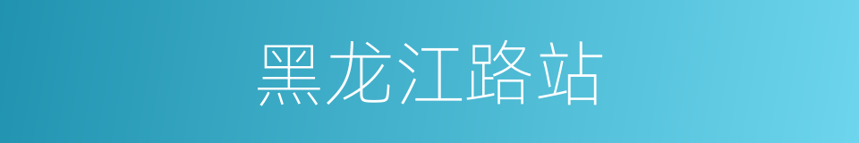 黑龙江路站的同义词