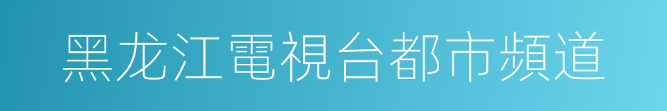 黑龙江電視台都市頻道的同義詞